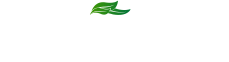00-logotipo-superior